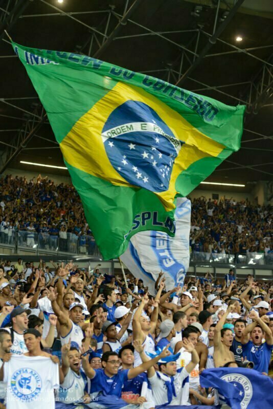 Finais Brasileirão 2013: A segunda do quadrangular - Cruzeiro Esporte Clube